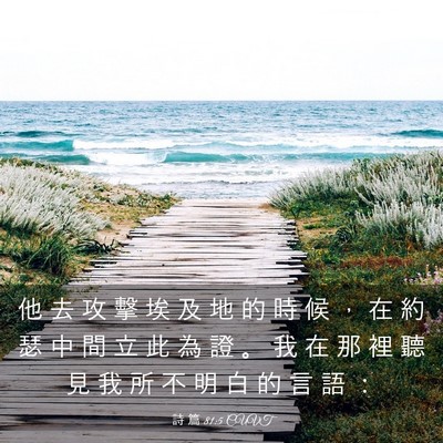 Picture 03 - 詩 篇 81:5 CUVT - 他 去 攻 擊 埃 及 地 的 時 候 ， 在 - Bible Verse Picture