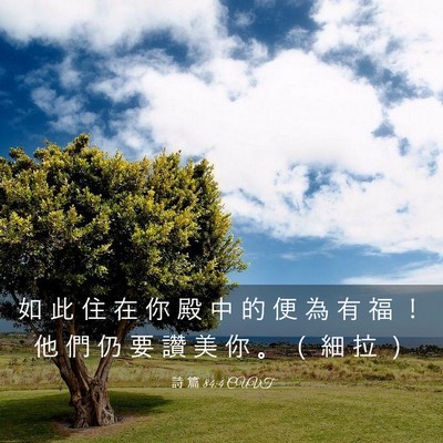 Picture 03 - 詩 篇 84:4 CUVT - 如 此 住 在 你 殿 中 的 便 為 有 福 - Bible Verse Picture