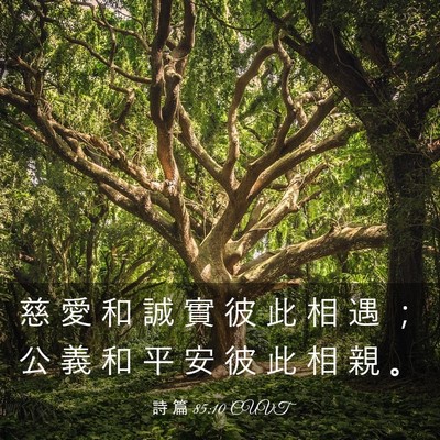 Picture 03 - 詩 篇 85:10 CUVT - 慈 愛 和 誠 實 彼 此 相 遇 ； 公 義 - Bible Verse Picture