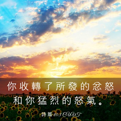 Picture 03 - 詩 篇 85:3 CUVT - 你 收 轉 了 所 發 的 忿 怒 和 你 猛 - Bible Verse Picture