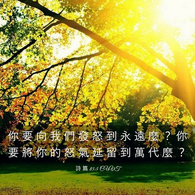 Picture 03 - 詩 篇 85:5 CUVT - 你 要 向 我 們 發 怒 到 永 遠 麼 ？ - Bible Verse Picture