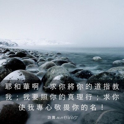 Picture 03 - 詩 篇 86:11 CUVT - 耶 和 華 啊 ， 求 你 將 你 的 道 指 - Bible Verse Picture