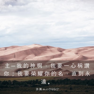 Picture 03 - 詩 篇 86:12 CUVT - 主 ─ 我 的 神 啊 ， 我 要 一 心 稱 - Bible Verse Picture