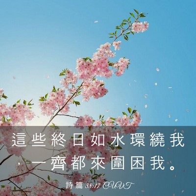 Picture 03 - 詩 篇 88:17 CUVT - 這 些 終 日 如 水 環 繞 我 ， 一 齊 - Bible Verse Picture