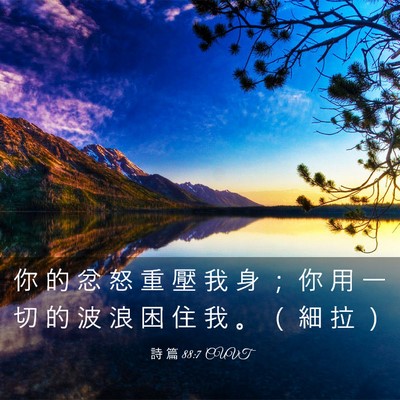 Picture 03 - 詩 篇 88:7 CUVT - 你 的 忿 怒 重 壓 我 身 ； 你 用 一 - Bible Verse Picture