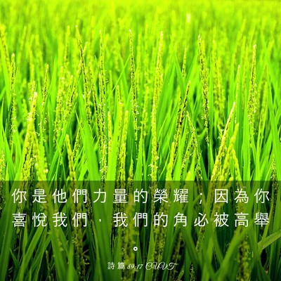 Picture 03 - 詩 篇 89:17 CUVT - 你 是 他 們 力 量 的 榮 耀 ； 因 為 - Bible Verse Picture