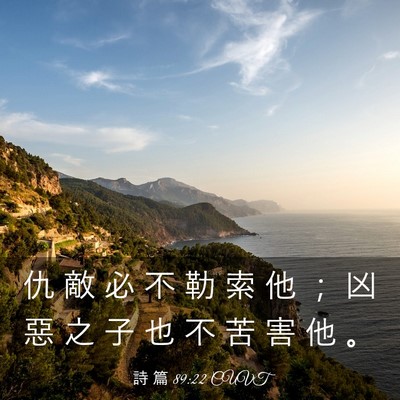 Picture 03 - 詩 篇 89:22 CUVT - 仇 敵 必 不 勒 索 他 ； 凶 惡 之 子 - Bible Verse Picture