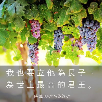 Picture 03 - 詩 篇 89:27 CUVT - 我 也 要 立 他 為 長 子 ， 為 世 上 - Bible Verse Picture