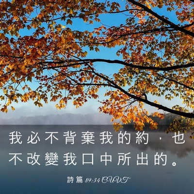 Picture 03 - 詩 篇 89:34 CUVT - 我 必 不 背 棄 我 的 約 ， 也 不 改 - Bible Verse Picture