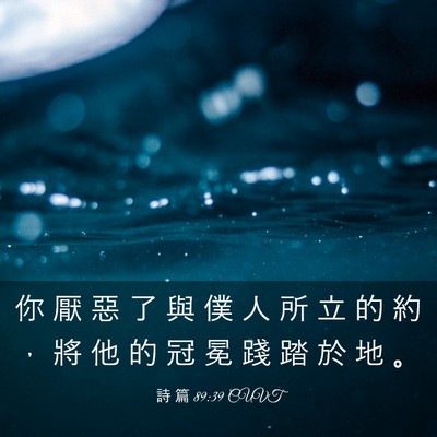 Picture 03 - 詩 篇 89:39 CUVT - 你 厭 惡 了 與 僕 人 所 立 的 約 ， - Bible Verse Picture