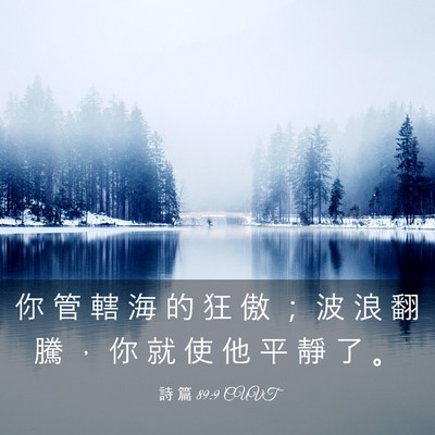 Picture 03 - 詩 篇 89:9 CUVT - 你 管 轄 海 的 狂 傲 ； 波 浪 翻 騰 - Bible Verse Picture