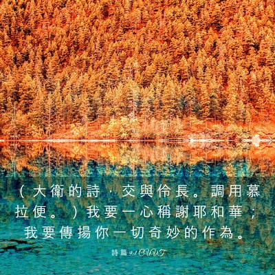 Picture 03 - 詩 篇 9:1 CUVT - （ 大 衛 的 詩 ， 交 與 伶 長 。 調 - Bible Verse Picture
