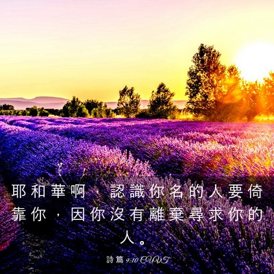 Picture 03 - 詩 篇 9:10 CUVT - 耶 和 華 啊 ， 認 識 你 名 的 人 要 - Bible Verse Picture