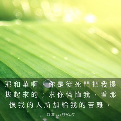 Picture 03 - 詩 篇 9:13 CUVT - 耶 和 華 啊 ， 你 是 從 死 門 把 我 - Bible Verse Picture