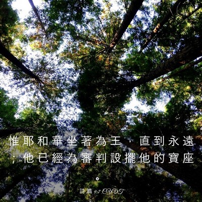 Picture 03 - 詩 篇 9:7 CUVT - 惟 耶 和 華 坐 著 為 王 ， 直 到 永 - Bible Verse Picture