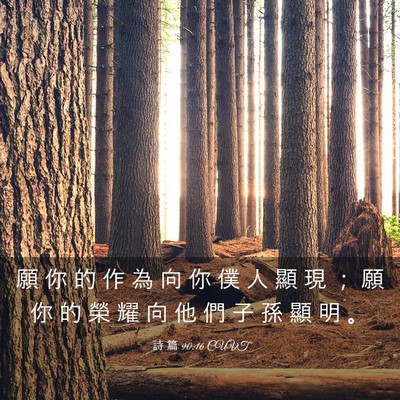 Picture 03 - 詩 篇 90:16 CUVT - 願 你 的 作 為 向 你 僕 人 顯 現 ； - Bible Verse Picture