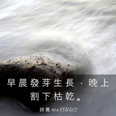 Picture 03 - 詩 篇 90:6 CUVT - 早 晨 發 芽 生 長 ， 晚 上 割 下 枯 - Bible Verse Picture