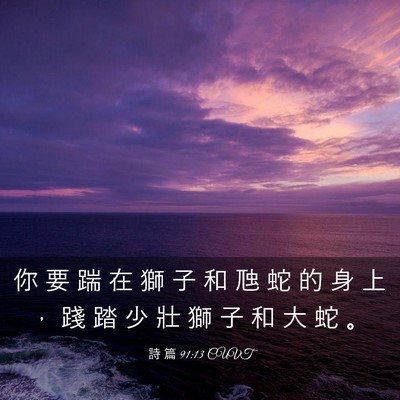 Picture 03 - 詩 篇 91:13 CUVT - 你 要 踹 在 獅 子 和 虺 蛇 的 身 上 - Bible Verse Picture