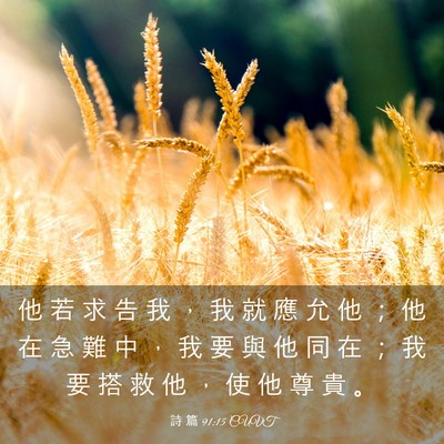 Picture 03 - 詩 篇 91:15 CUVT - 他 若 求 告 我 ， 我 就 應 允 他 ； - Bible Verse Picture