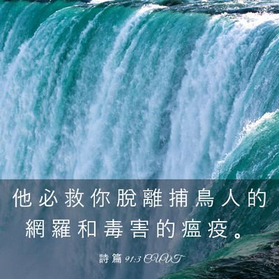 Picture 03 - 詩 篇 91:3 CUVT - 他 必 救 你 脫 離 捕 鳥 人 的 網 羅 - Bible Verse Picture