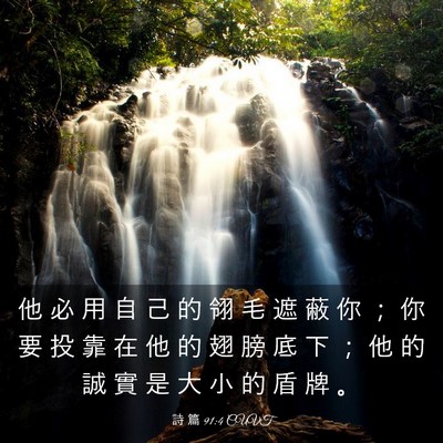 Picture 03 - 詩 篇 91:4 CUVT - 他 必 用 自 己 的 翎 毛 遮 蔽 你 ； - Bible Verse Picture