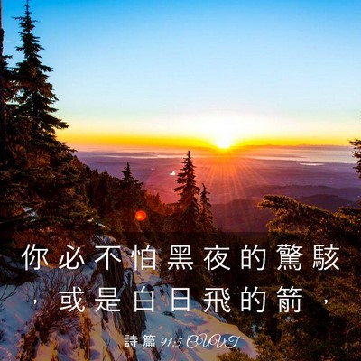 Picture 03 - 詩 篇 91:5 CUVT - 你 必 不 怕 黑 夜 的 驚 駭 ， 或 是 - Bible Verse Picture