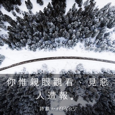 Picture 03 - 詩 篇 91:8 CUVT - 你 惟 親 眼 觀 看 ， 見 惡 人 遭 報 - Bible Verse Picture