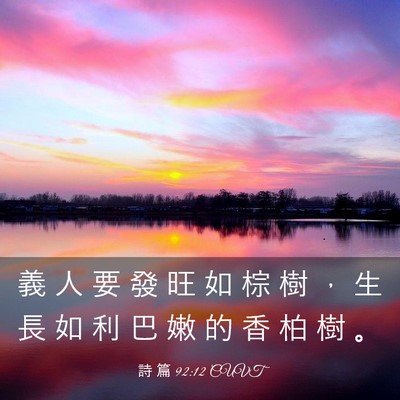 Picture 03 - 詩 篇 92:12 CUVT - 義 人 要 發 旺 如 棕 樹 ， 生 長 如 - Bible Verse Picture