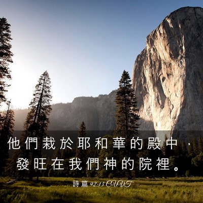 Picture 03 - 詩 篇 92:13 CUVT - 他 們 栽 於 耶 和 華 的 殿 中 ， 發 - Bible Verse Picture