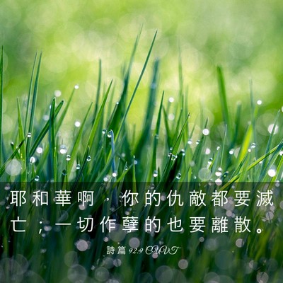 Picture 03 - 詩 篇 92:9 CUVT - 耶 和 華 啊 ， 你 的 仇 敵 都 要 滅 - Bible Verse Picture