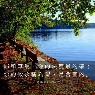 Picture 03 - 詩 篇 93:5 CUVT - 耶 和 華 啊 ， 你 的 法 度 最 的 確 - Bible Verse Picture