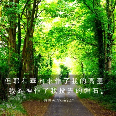 Picture 03 - 詩 篇 94:22 CUVT - 但 耶 和 華 向 來 作 了 我 的 高 臺 - Bible Verse Picture
