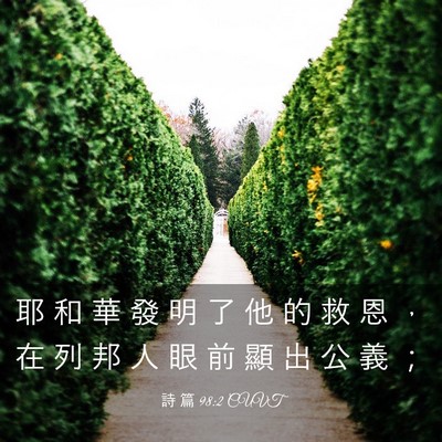 Picture 03 - 詩 篇 98:2 CUVT - 耶 和 華 發 明 了 他 的 救 恩 ， 在 - Bible Verse Picture
