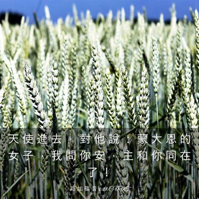 Picture 03 - 路 加 福 音 1:28 CUVT - 天 使 進 去 ， 對 他 說 ： 蒙 大 恩 - Bible Verse Picture