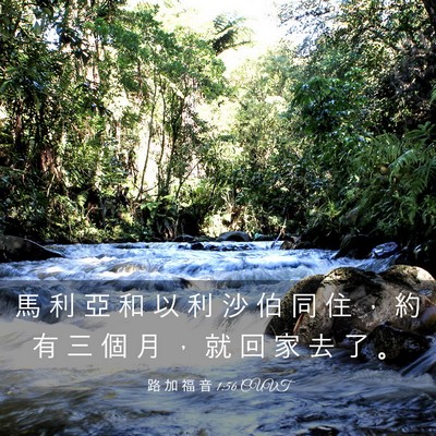 Picture 03 - 路 加 福 音 1:56 CUVT - 馬 利 亞 和 以 利 沙 伯 同 住 ， 約 - Bible Verse Picture