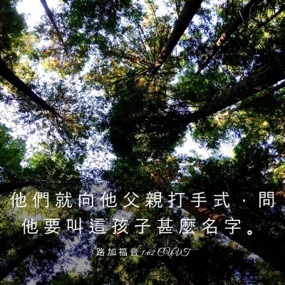 Picture 03 - 路 加 福 音 1:62 CUVT - 他 們 就 向 他 父 親 打 手 式 ， 問 - Bible Verse Picture