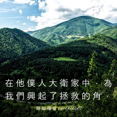 Picture 03 - 路 加 福 音 1:69 CUVT - 在 他 僕 人 大 衛 家 中 ， 為 我 們 - Bible Verse Picture
