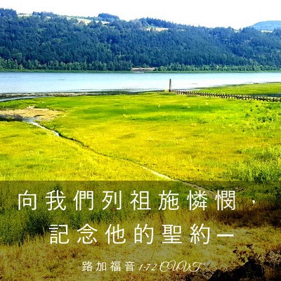 Picture 03 - 路 加 福 音 1:72 CUVT - 向 我 們 列 祖 施 憐 憫 ， 記 念 他 - Bible Verse Picture