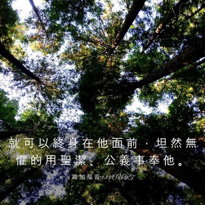Picture 03 - 路 加 福 音 1:75 CUVT - 就 可 以 終 身 在 他 面 前 ， 坦 然 - Bible Verse Picture