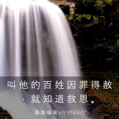 Picture 03 - 路 加 福 音 1:77 CUVT - 叫 他 的 百 姓 因 罪 得 赦 ， 就 知 - Bible Verse Picture