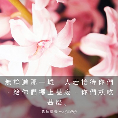 Picture 03 - 路 加 福 音 10:8 CUVT - 無 論 進 那 一 城 ， 人 若 接 待 你 - Bible Verse Picture