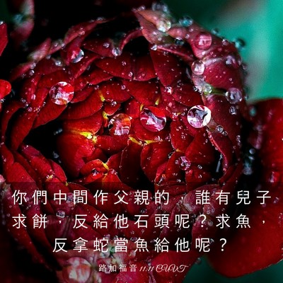 Picture 03 - 路 加 福 音 11:11 CUVT - 你 們 中 間 作 父 親 的 ， 誰 有 兒 - Bible Verse Picture