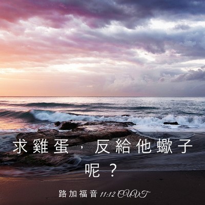Picture 03 - 路 加 福 音 11:12 CUVT - 求 雞 蛋 ， 反 給 他 蠍 子 呢 - Bible Verse Picture