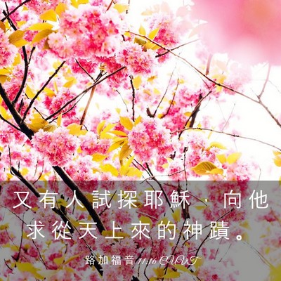 Picture 03 - 路 加 福 音 11:16 CUVT - 又 有 人 試 探 耶 穌 ， 向 他 求 從 - Bible Verse Picture
