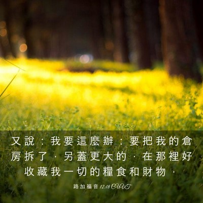 Picture 03 - 路 加 福 音 12:18 CUVT - 又 說 ： 我 要 這 麼 辦 ： 要 把 我 - Bible Verse Picture