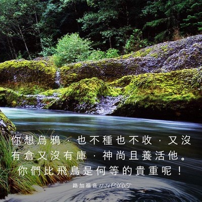 Picture 03 - 路 加 福 音 12:24 CUVT - 你 想 烏 鴉 ， 也 不 種 也 不 收 ， - Bible Verse Picture