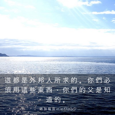 Picture 03 - 路 加 福 音 12:30 CUVT - 這 都 是 外 邦 人 所 求 的 。 你 們 - Bible Verse Picture