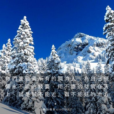 Picture 03 - 路 加 福 音 12:33 CUVT - 你 們 要 變 賣 所 有 的 賙 濟 人 ， - Bible Verse Picture