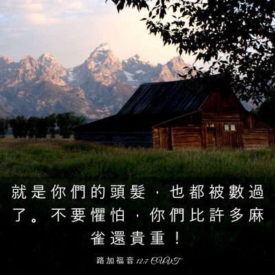 Picture 03 - 路 加 福 音 12:7 CUVT - 就 是 你 們 的 頭 髮 ， 也 都 被 數 - Bible Verse Picture