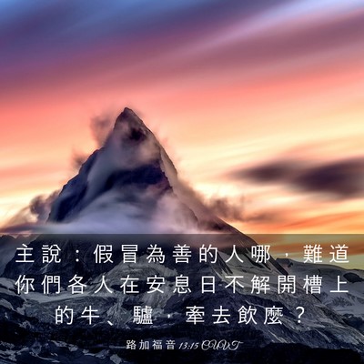 Picture 03 - 路 加 福 音 13:15 CUVT - 主 說 ： 假 冒 為 善 的 人 哪 ， 難 - Bible Verse Picture